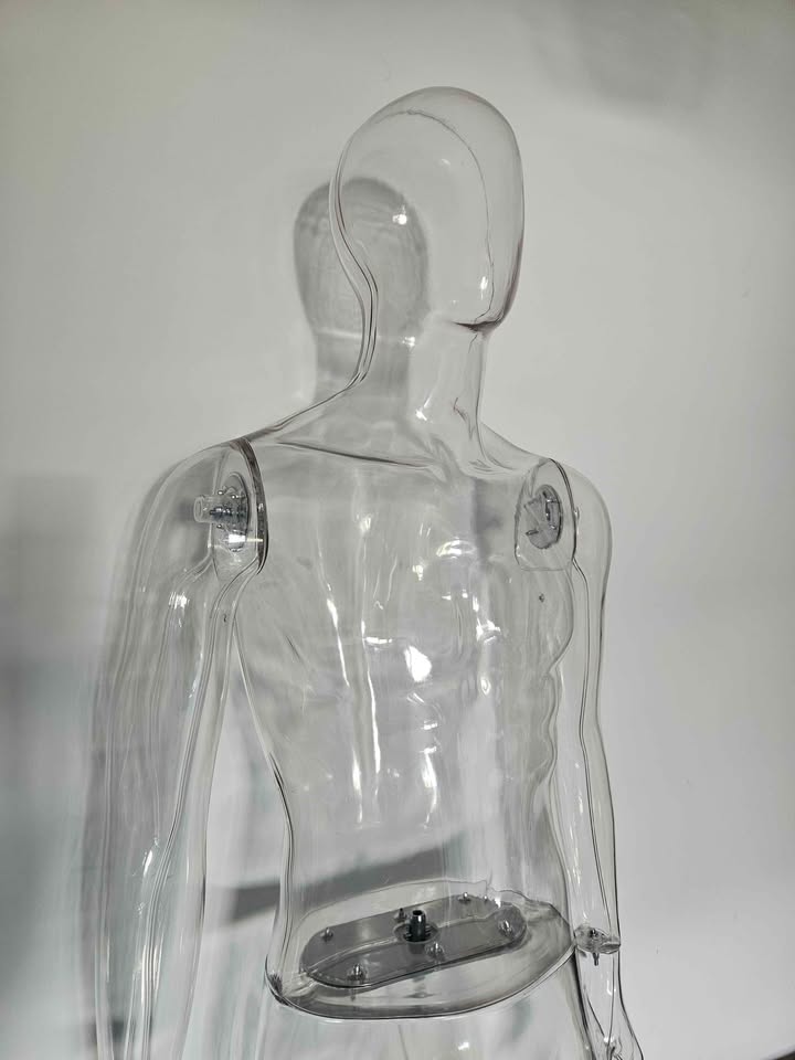 FBM Clear Male Mannequins: – New